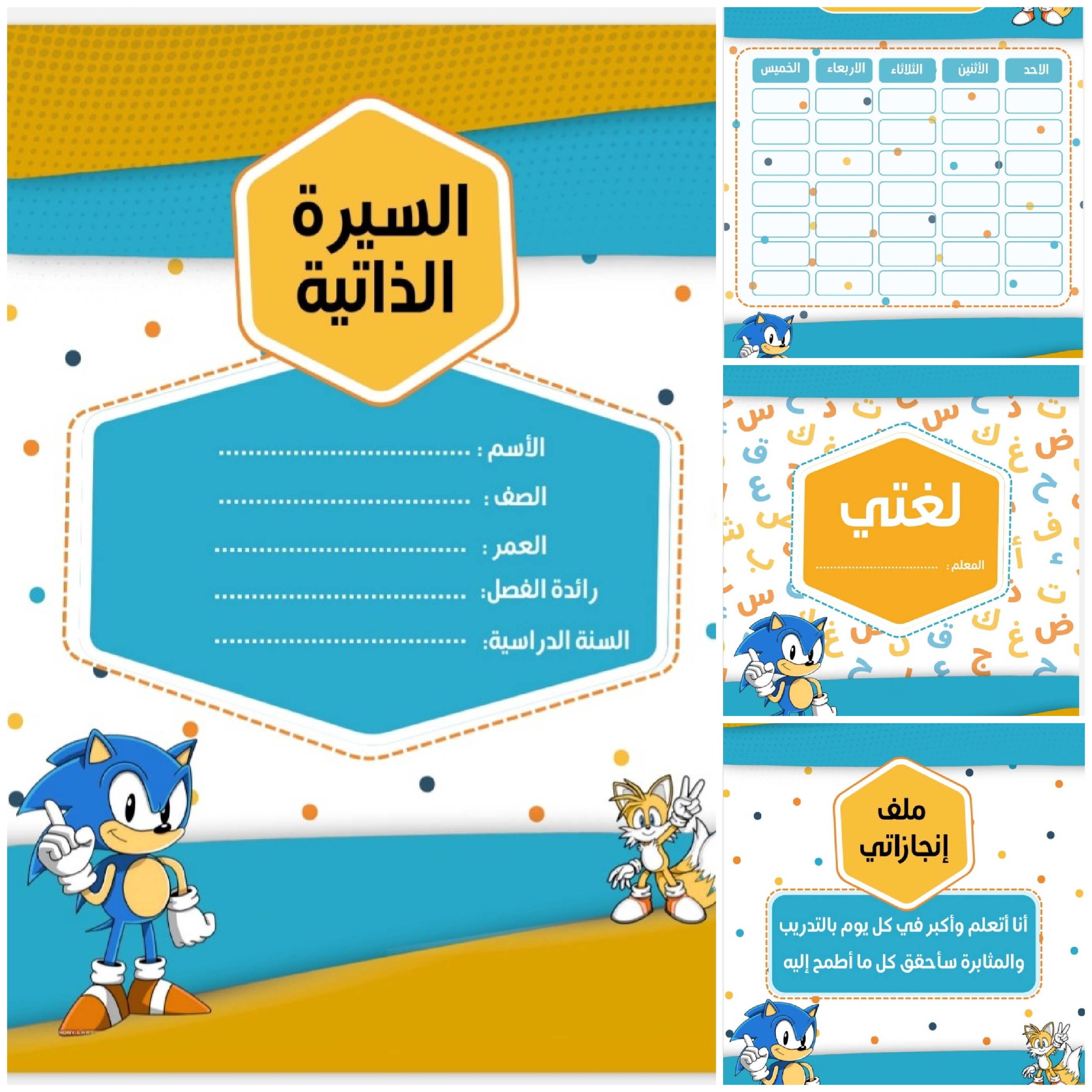 ملف انجاز بشخصية سونيك.