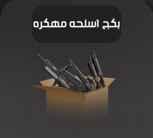 3 اسلحة مهكرة