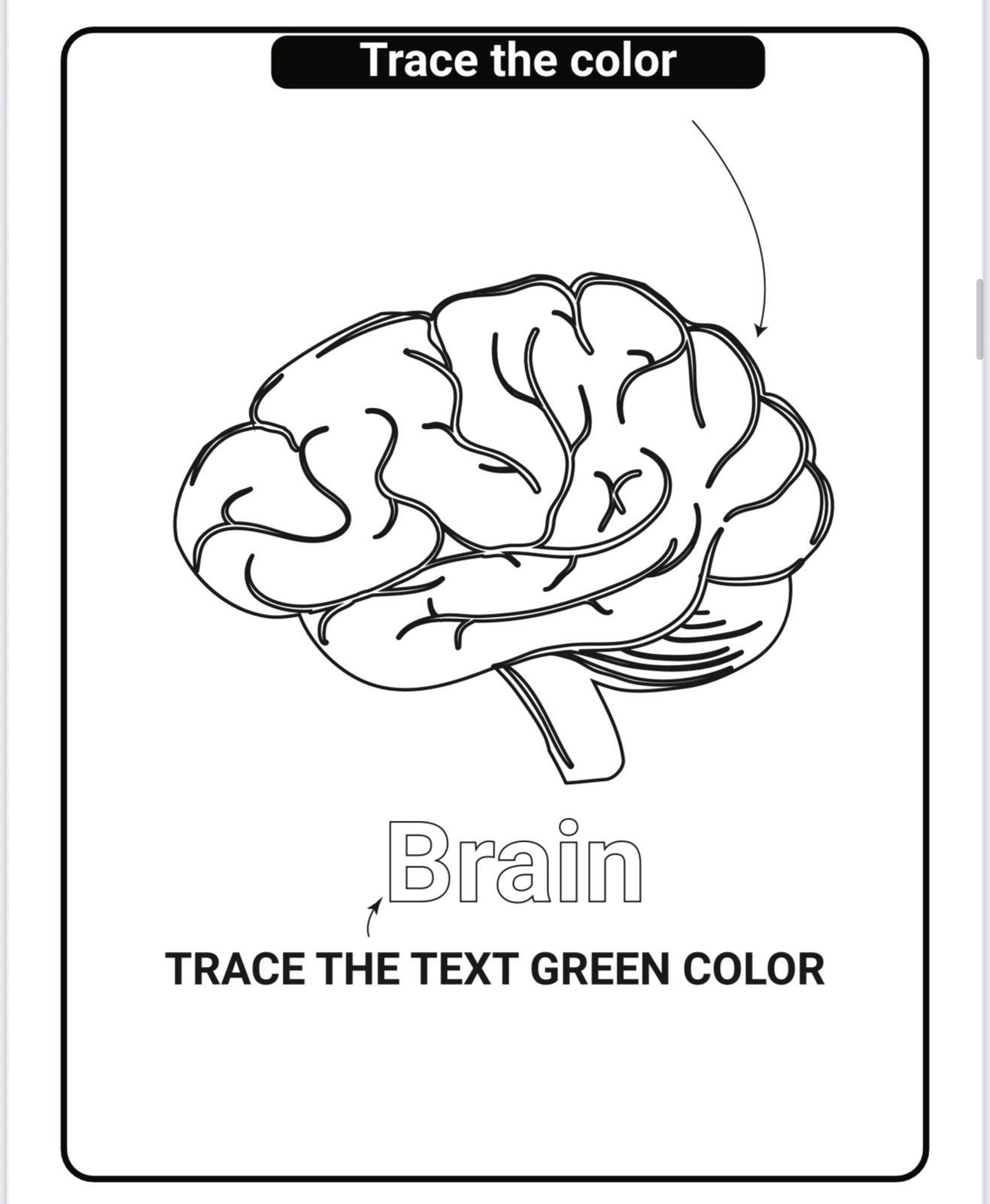 تلوين اجهزة الجسم - انجليزي