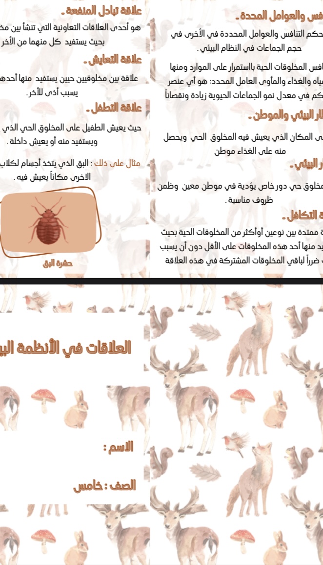 مطوية علوم صف خامس العلاقات في الانظمة البيئية