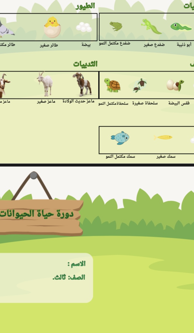 مطوية دورة حياة الحيوانات صف ثالث الفصل الاول علوم