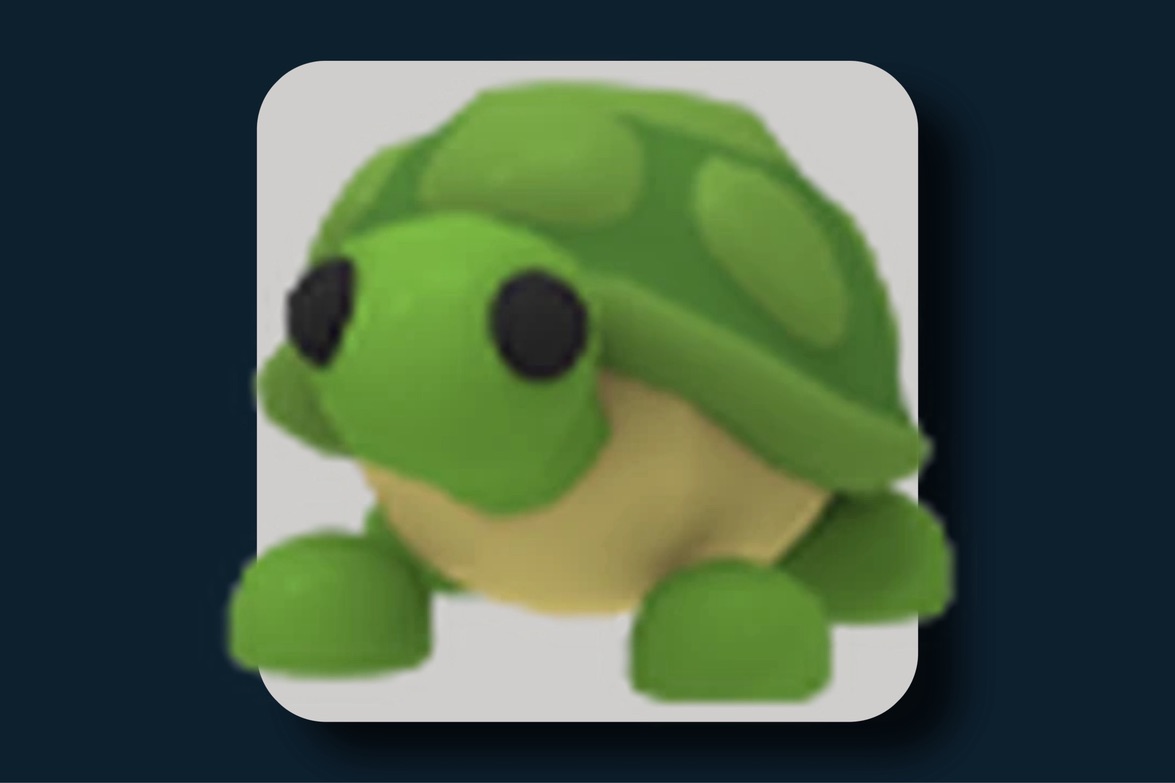 سلحفاة - Turtle