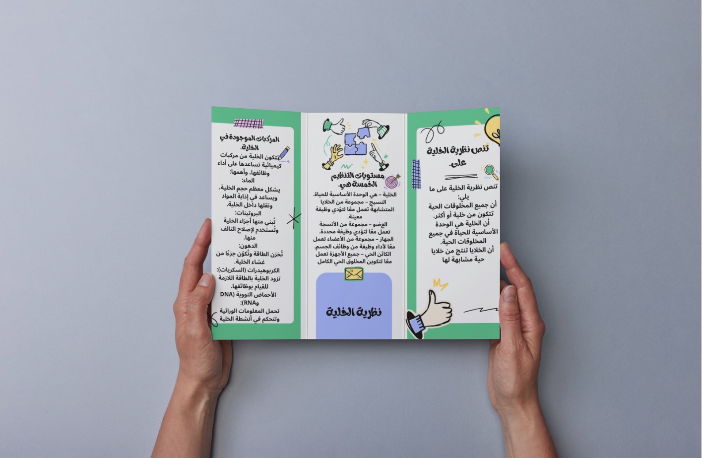 علوم سادس نظرية الخلية