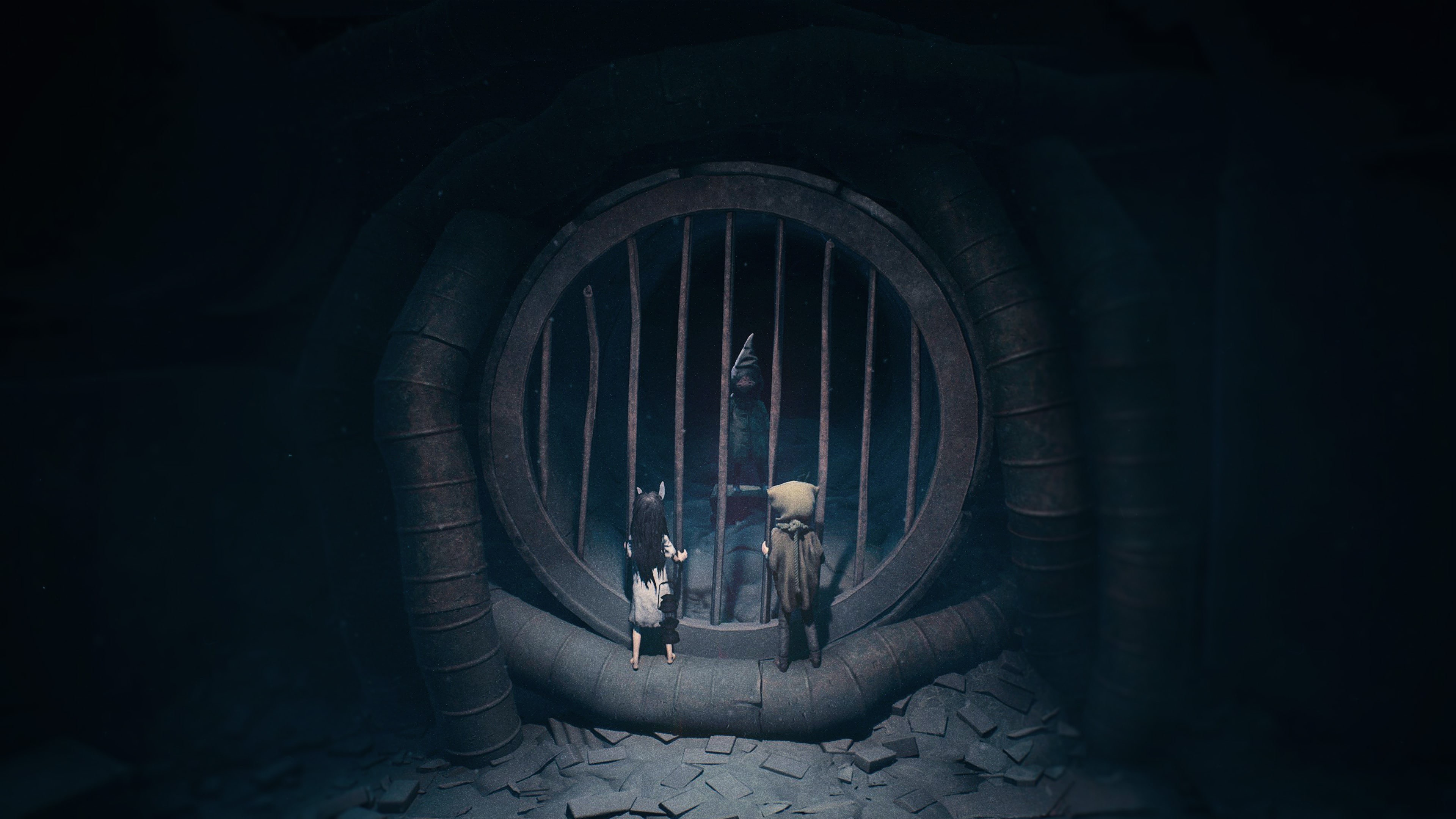 REANIMAL ايجار