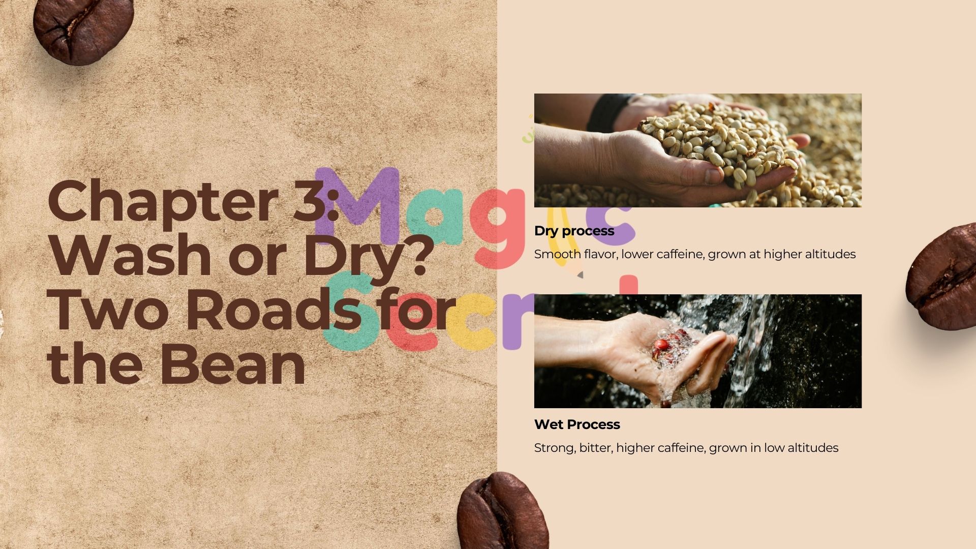 عرض باوربوينت عن تاريخ القهوة باللغة الإنجليزية - The Epic Journey  of a Coffee Bean