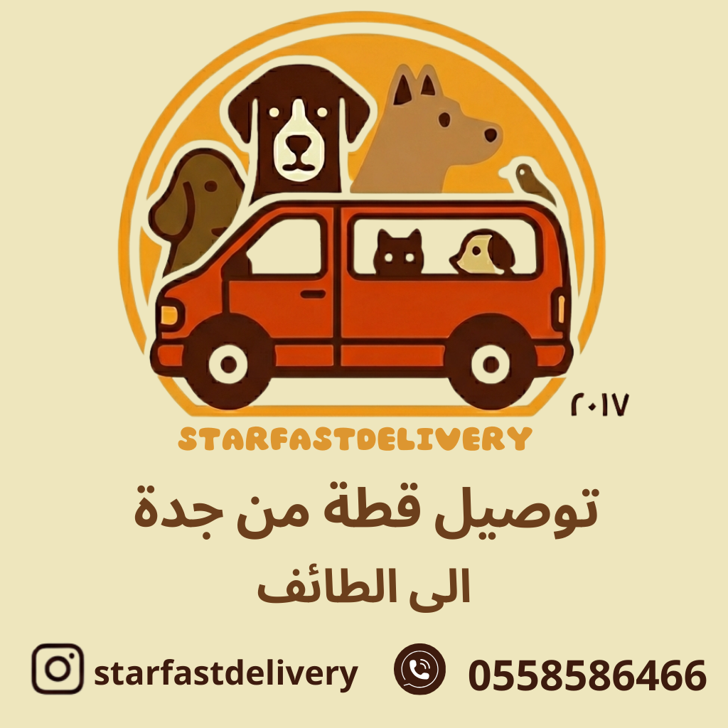 توصيل قطة من جدة للطائف