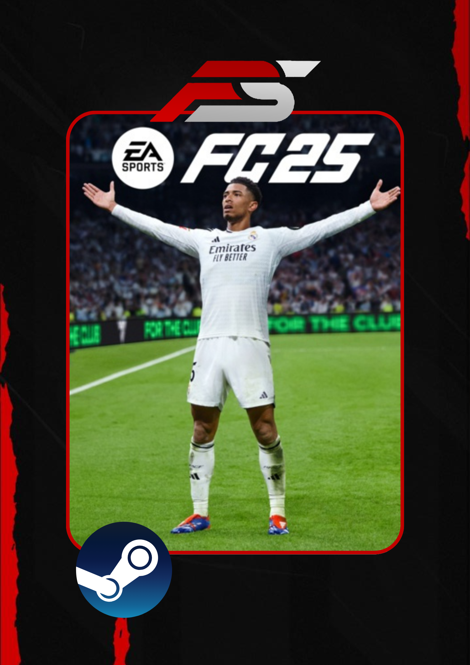 فيفا 25 ستيم (عادية,التمت)