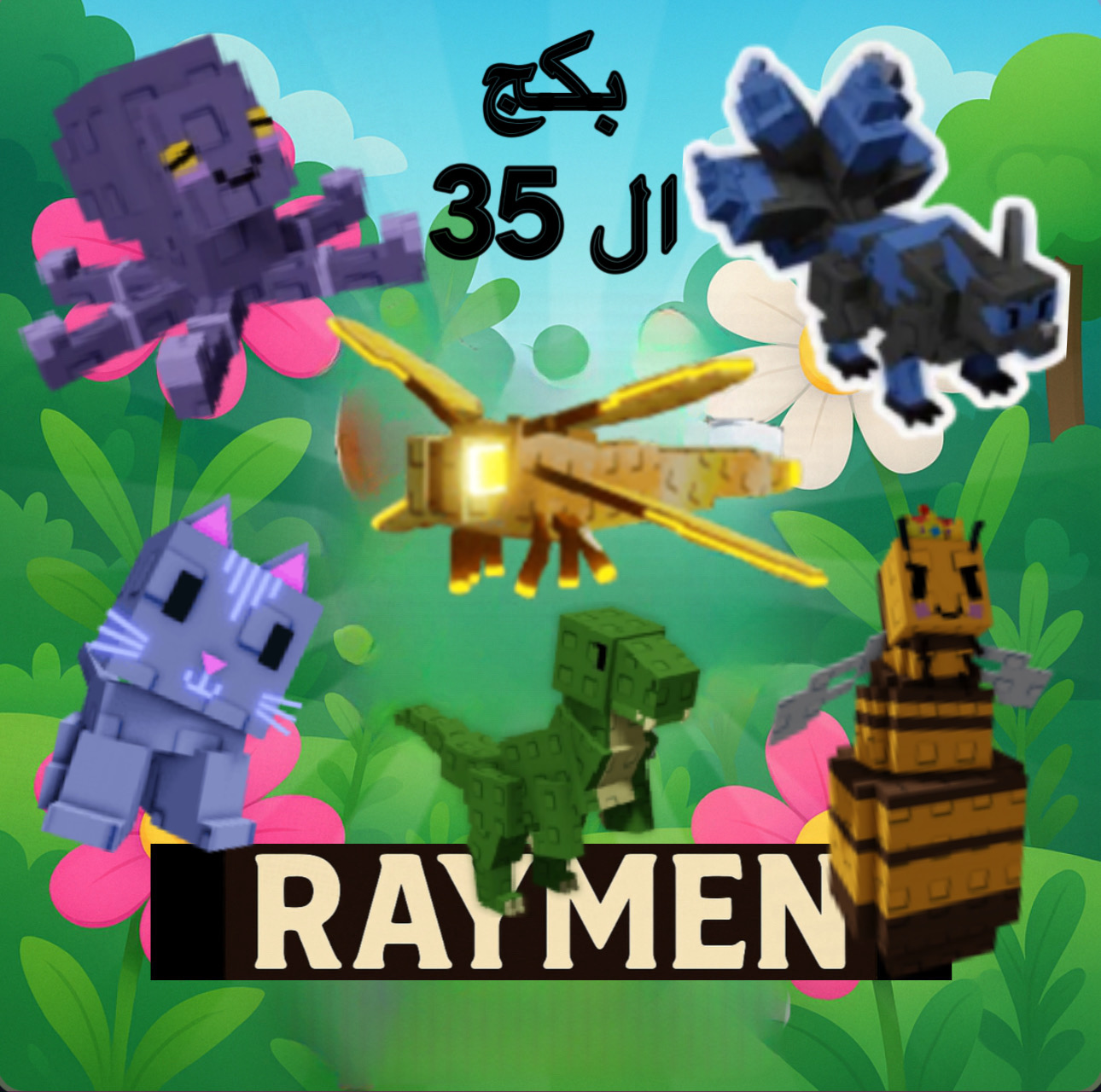 بكج ال 35 | عرض محدود