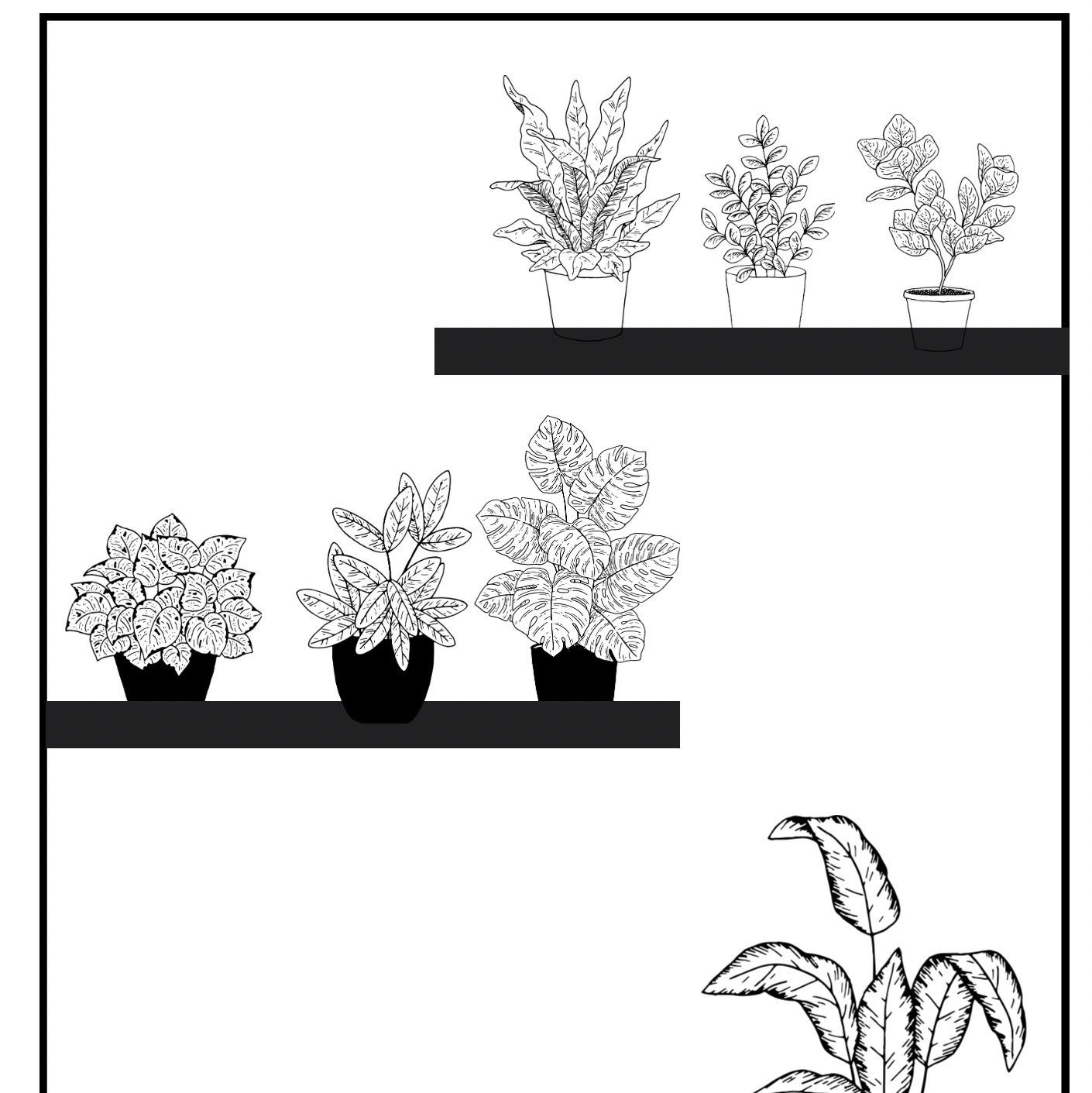 دفتر تلوين بسيط