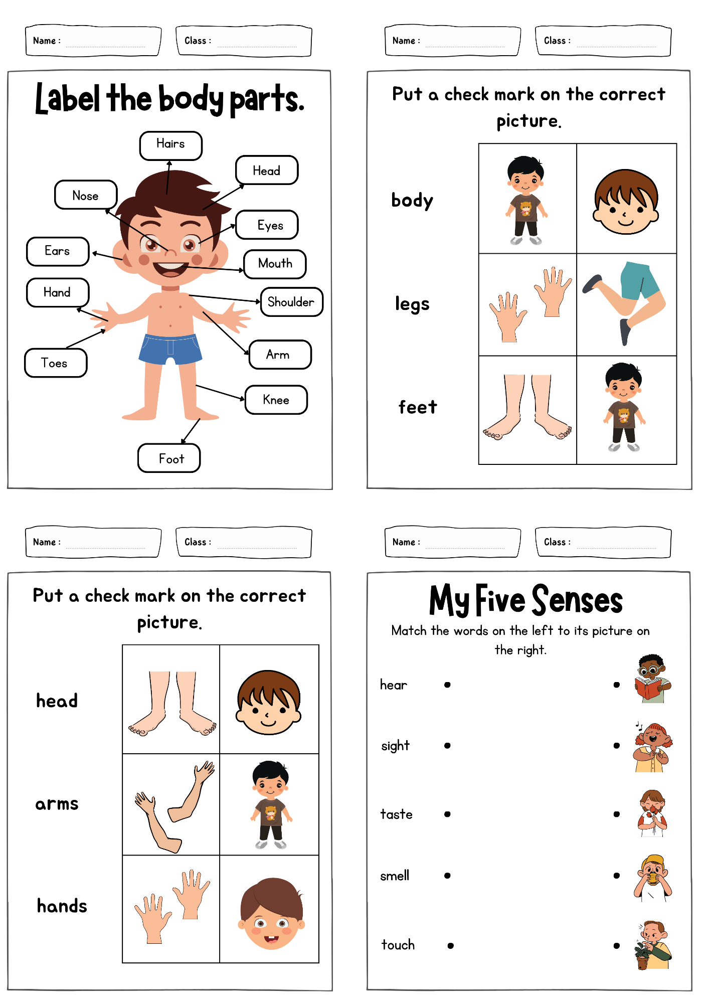 أوراق عمل درس ( my body ) مادة اللغة الإنجليزية pdf