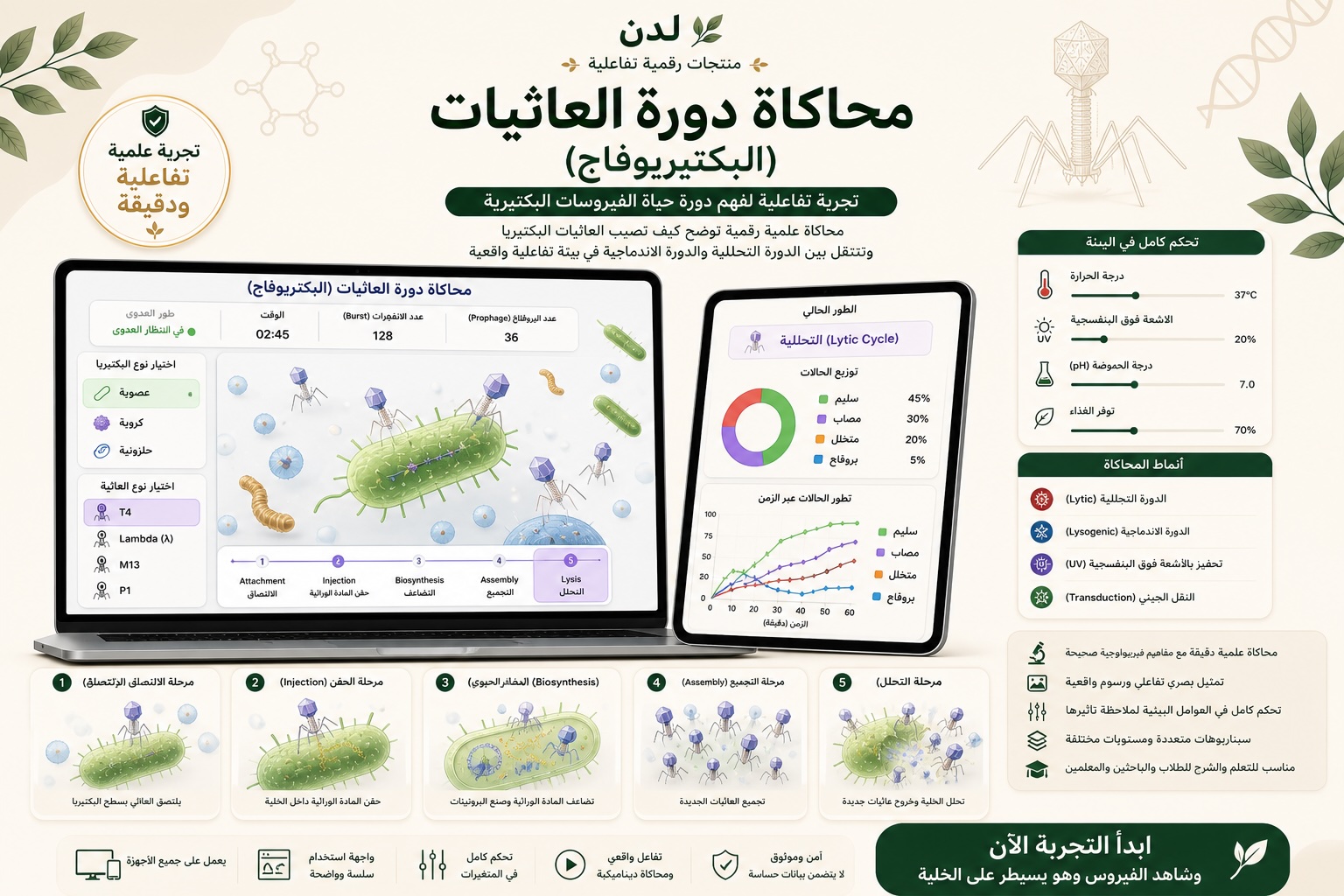 ⚔️🦠 حرب نانويّة — محاكاة مختبرك التفاعليّ لعالم العاثيات (البكتيروفاج)