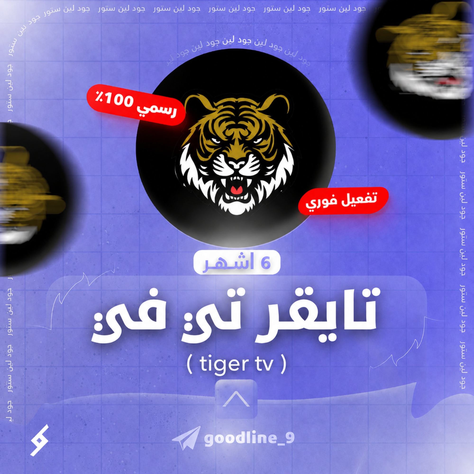 تايجر TV لمدة 6 اشهر