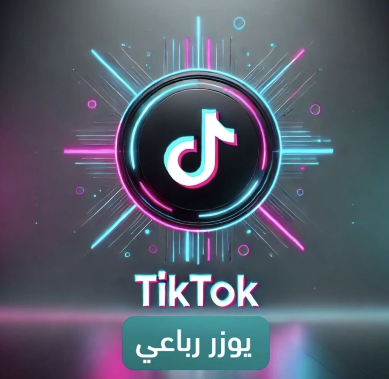 dmsc- تيك رباعي