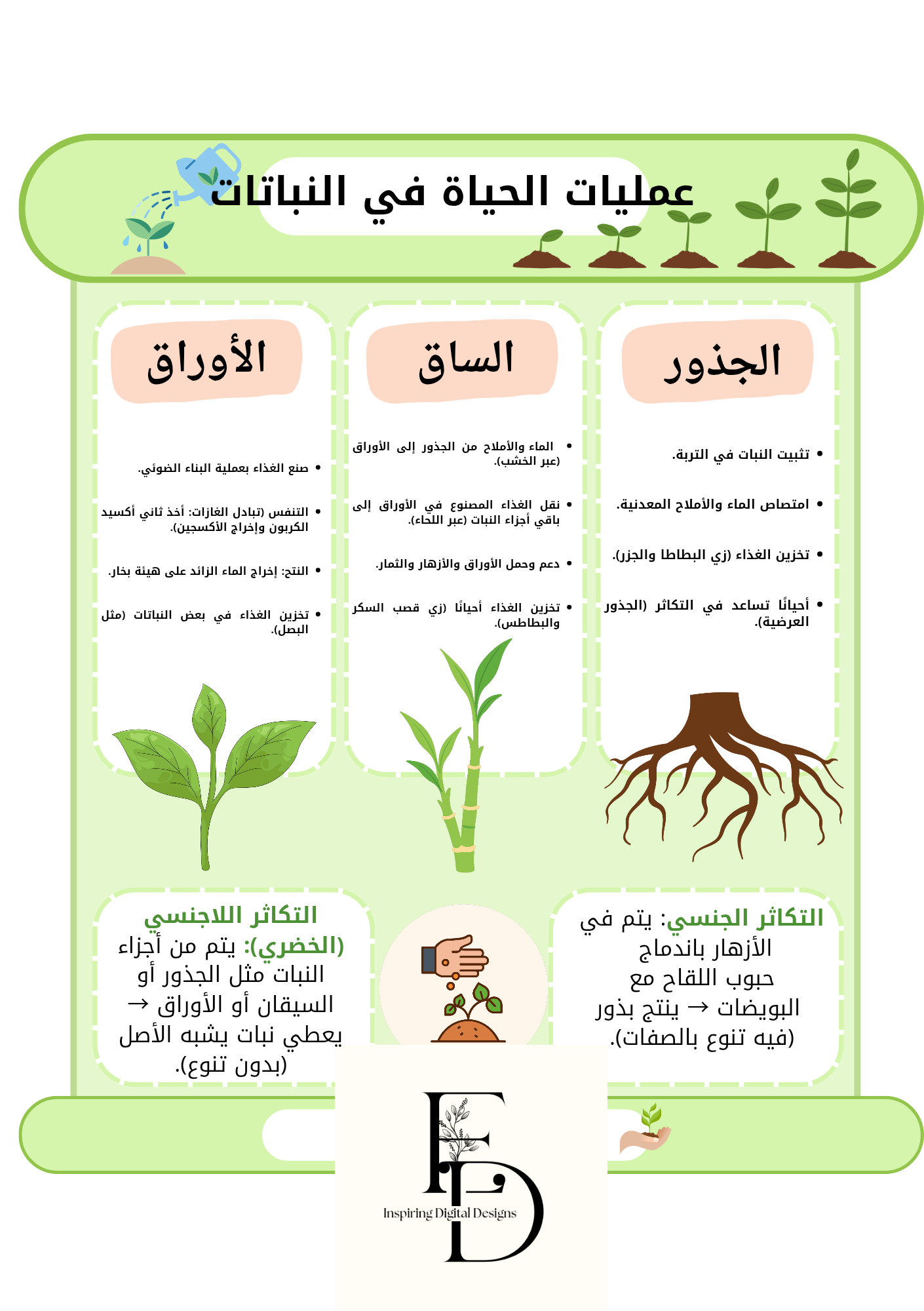 عمليات الحياه في النبات[سادس ابتدائي ١]