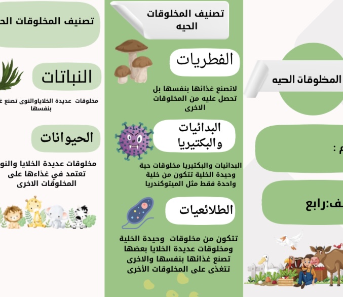 مطوية علوم تصنيف المخلوقات الحية صف رابع الفصل الاول