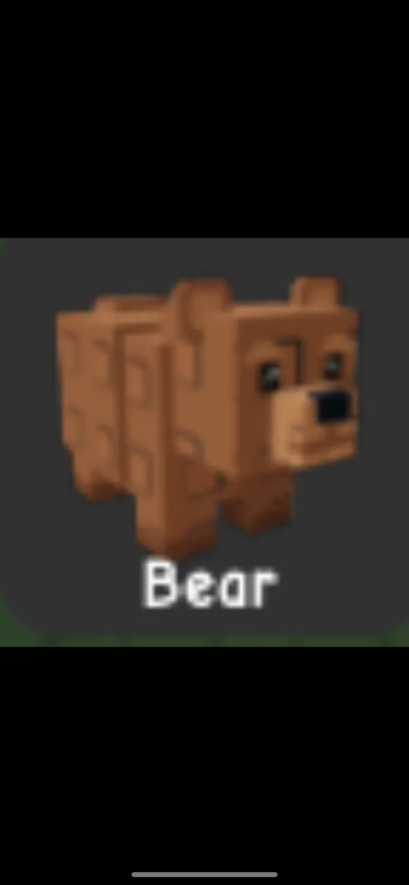 Bear