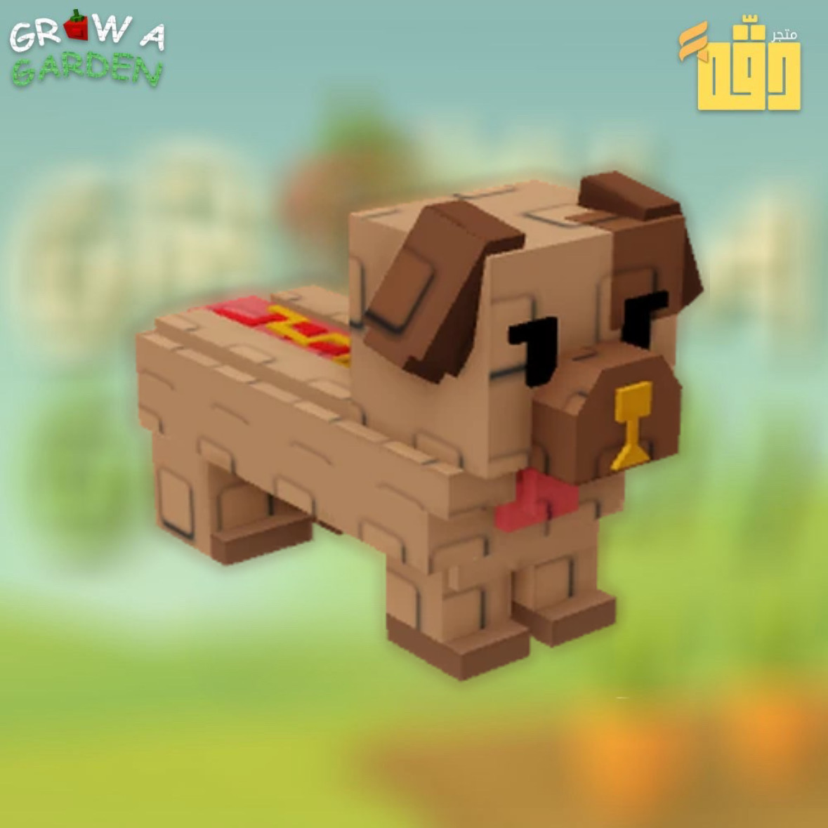Hotdog Daschund