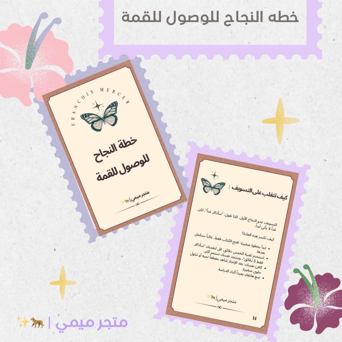 خطة النجاح للوصول للقمة