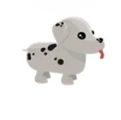 Dalmatian