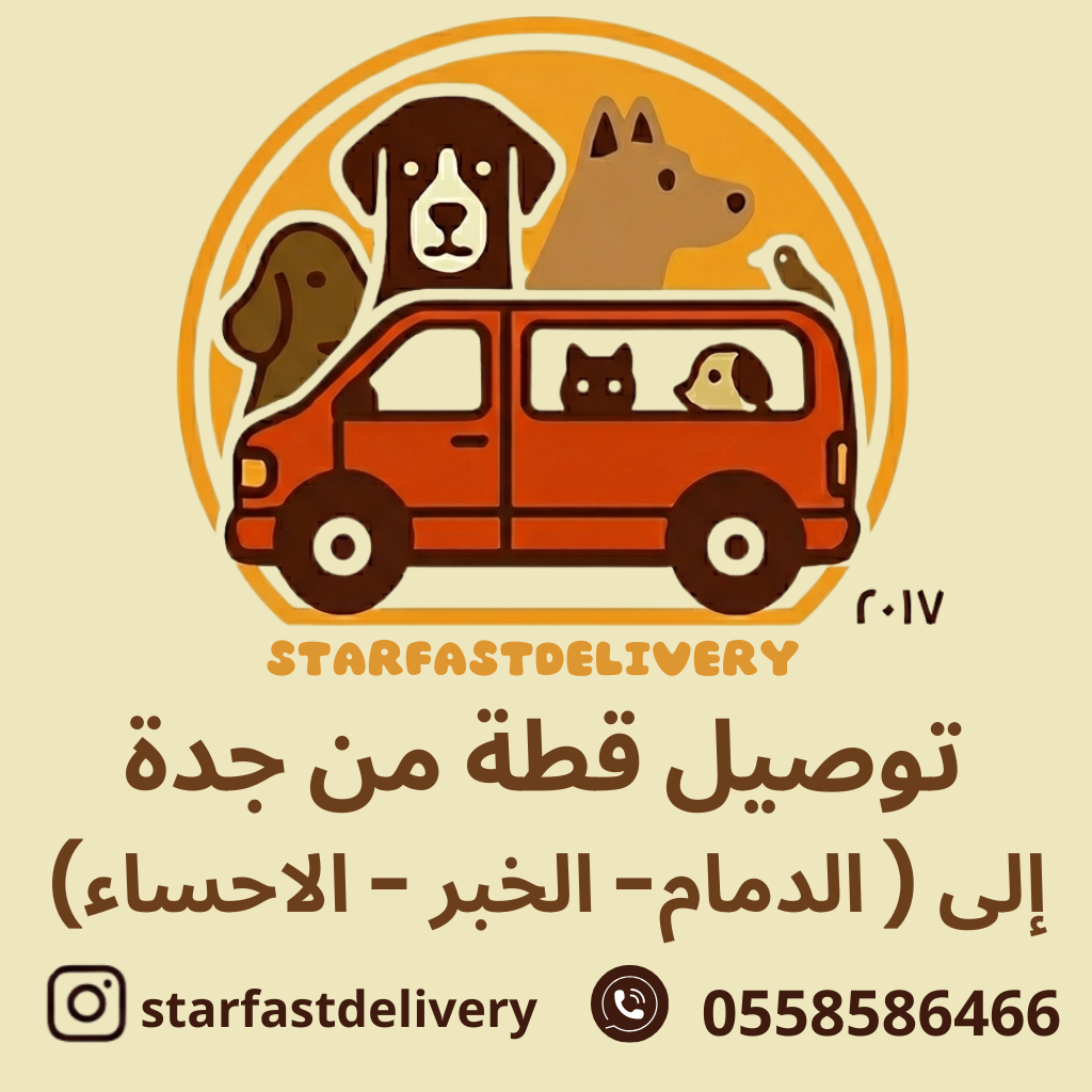 توصيل قطة من جدة ( للدمام- الخبر - الاحساء )