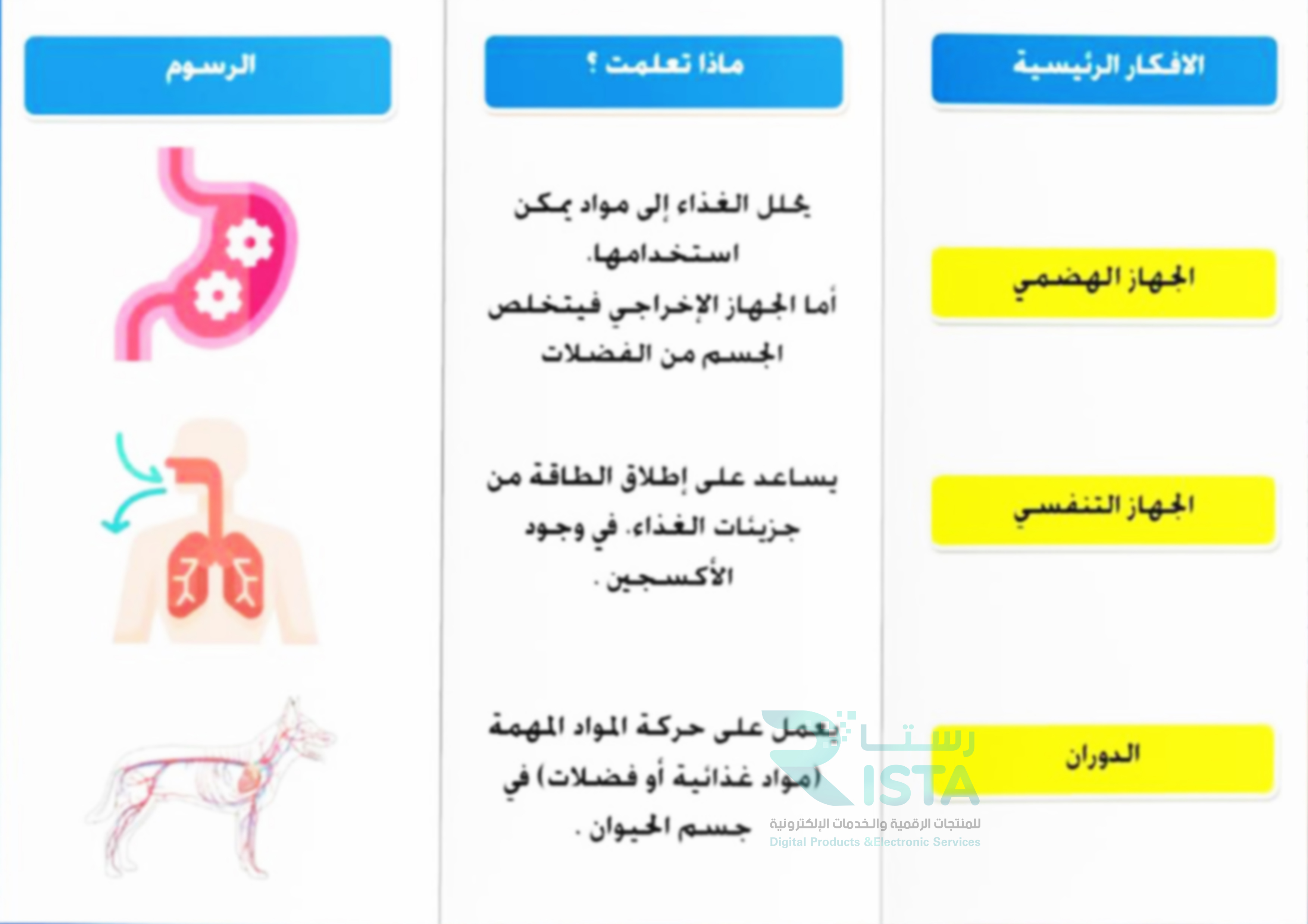 مطوية الهضم والتنفس والدوران علوم الصف السادس الإبتدائي