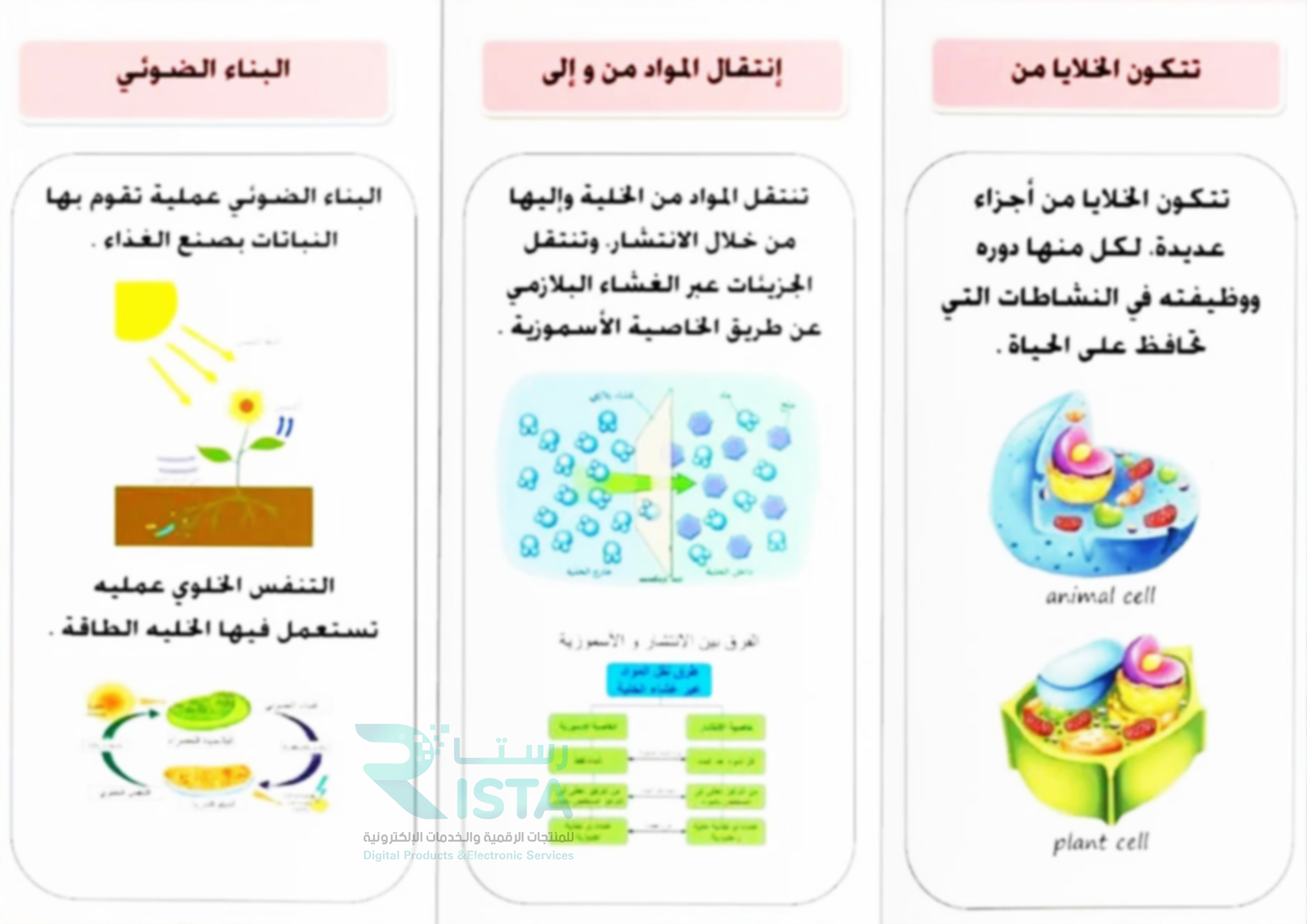 مطوية الخلية النباتية والخلية الحيوانية علوم الصف السادس الإبتدائي