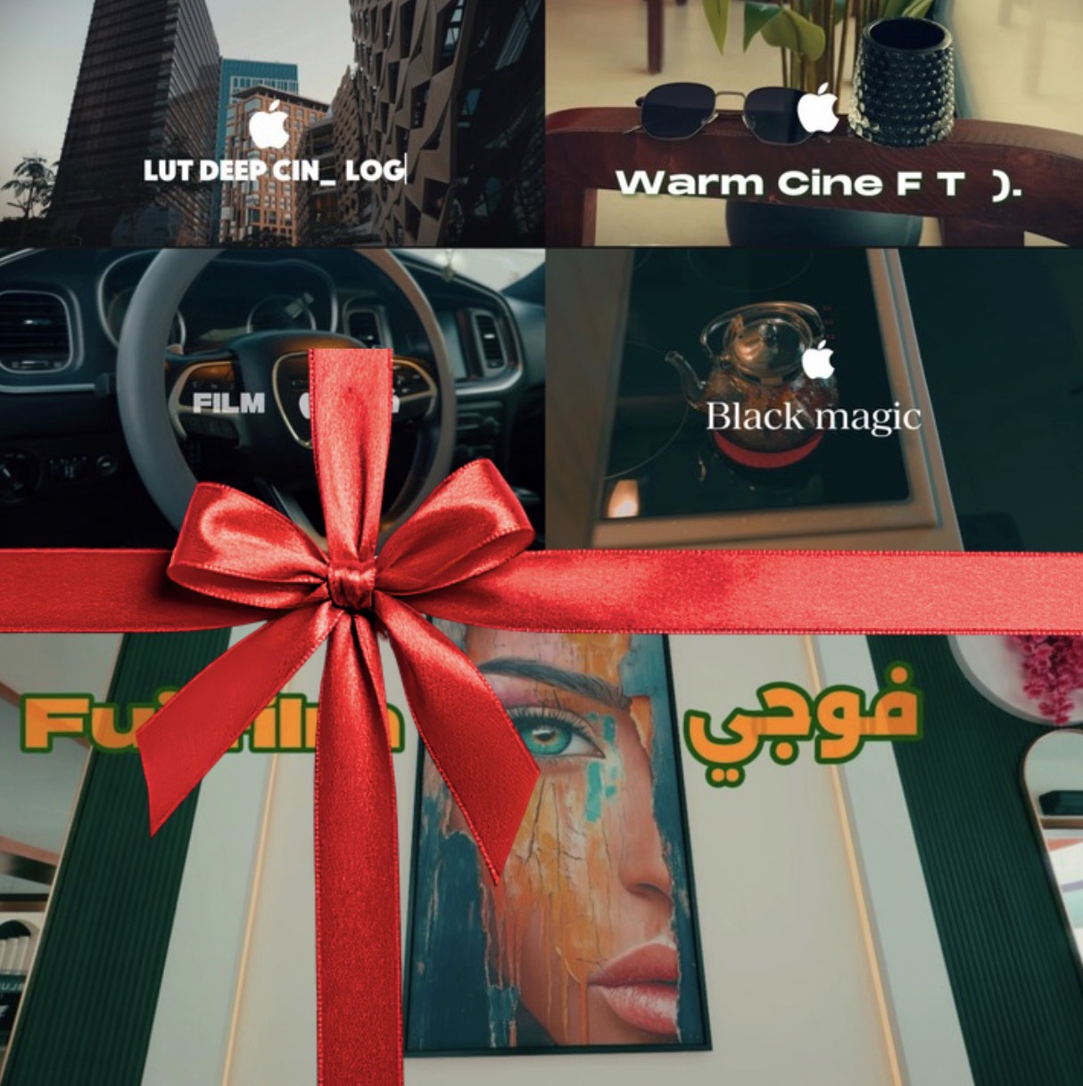 🔥5  فلاتر  إحترافية + فلتر مجاني  (lut)🔥