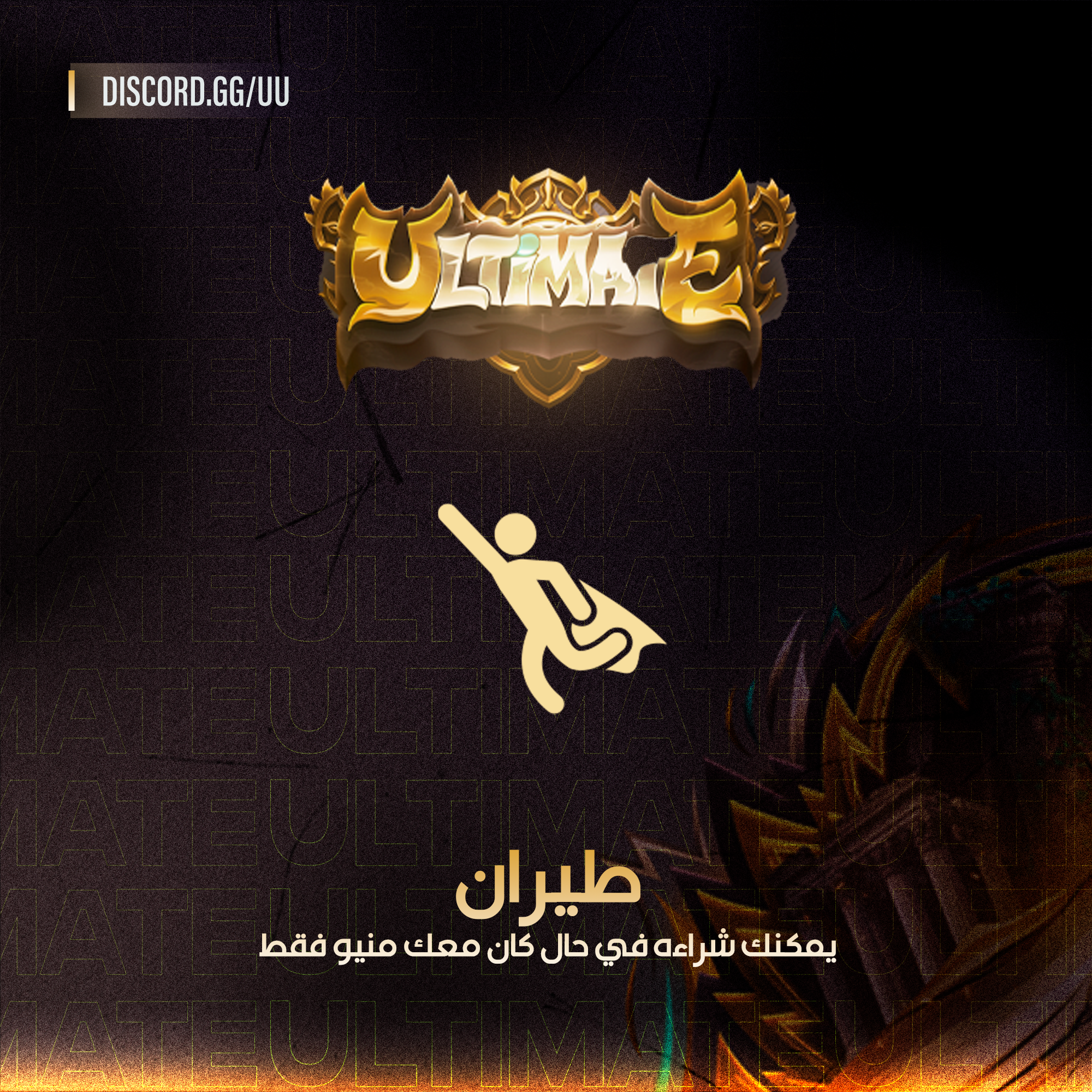 F2 - طيران