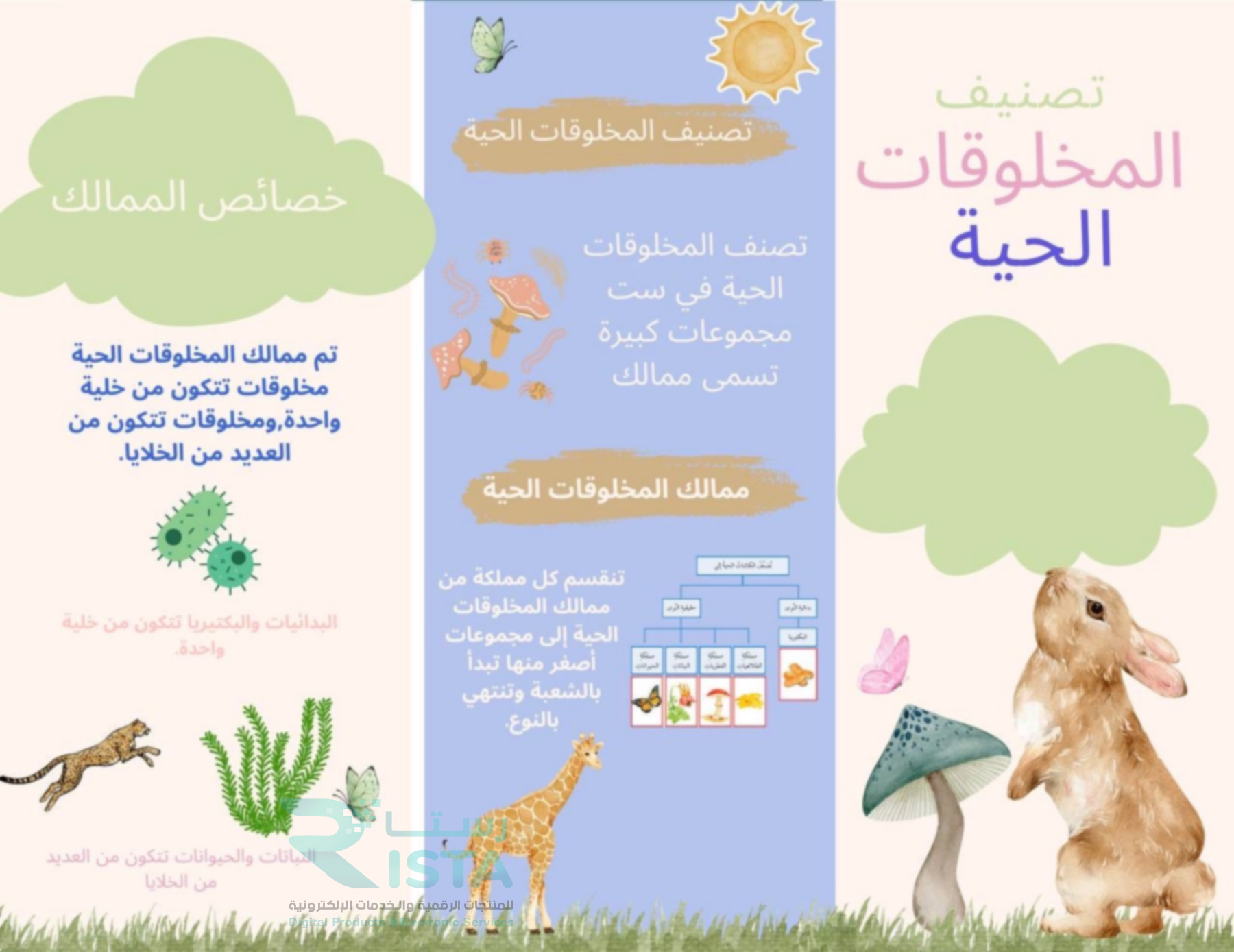 مطوية تصنيف المخلوقات الحية المادة علوم الصف رابع ابتدائي  الفصل الدراسي الأول