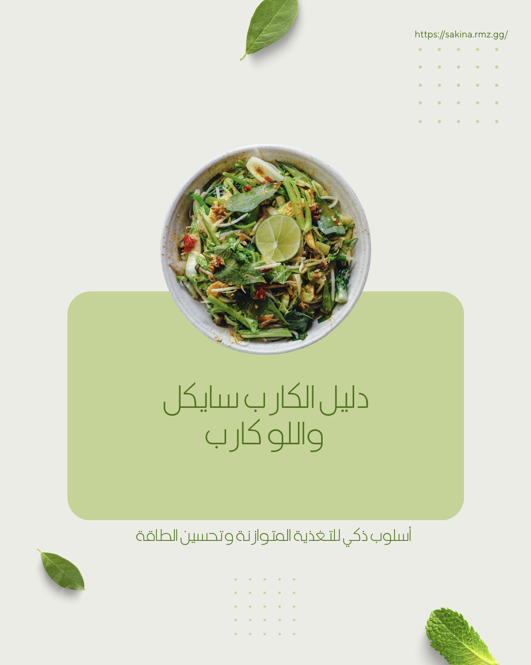 دليل الكارب سايكل  واللو كارب