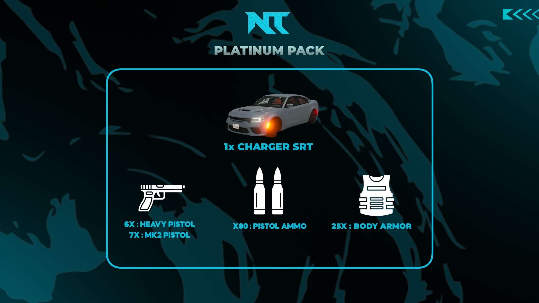 🥈𝖯latinum 𝖯ack