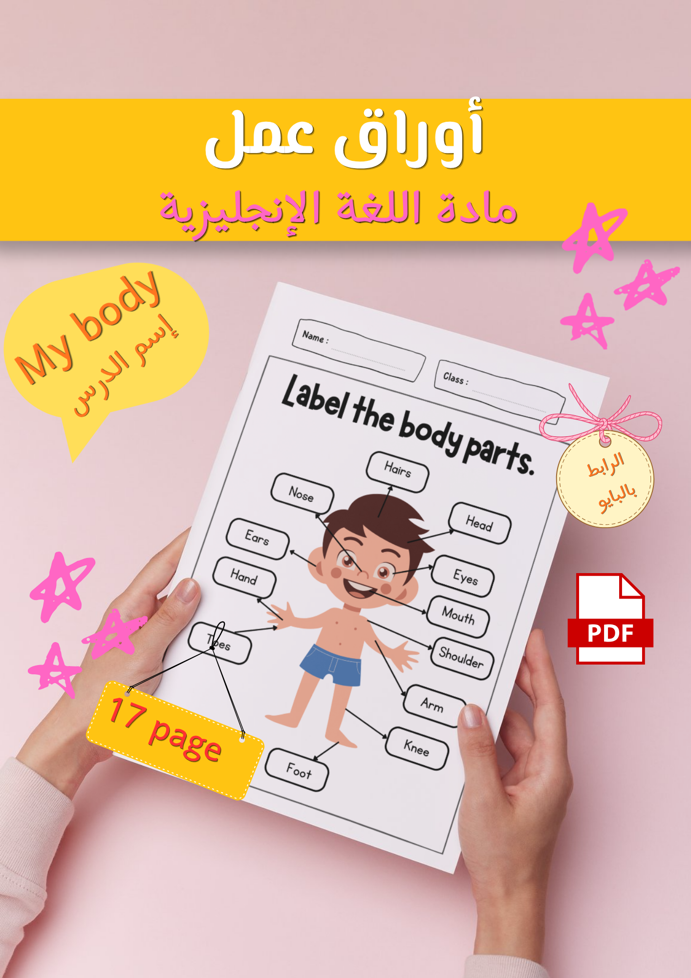أوراق عمل درس ( my body ) مادة اللغة الإنجليزية pdf