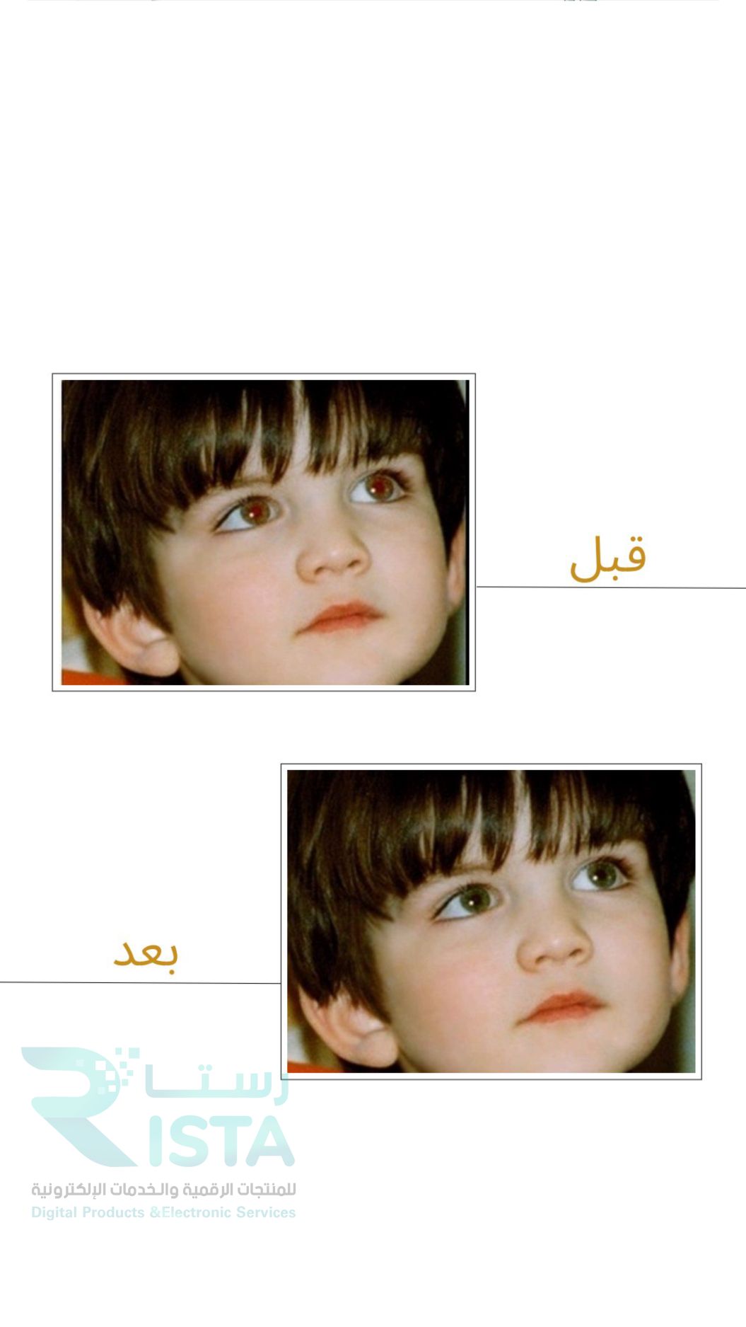 مطوية استخدام الوسائط المتعددة صفحه176 مهارات رقمية رابع ابتدائي  الفصل الدراسي الثاني