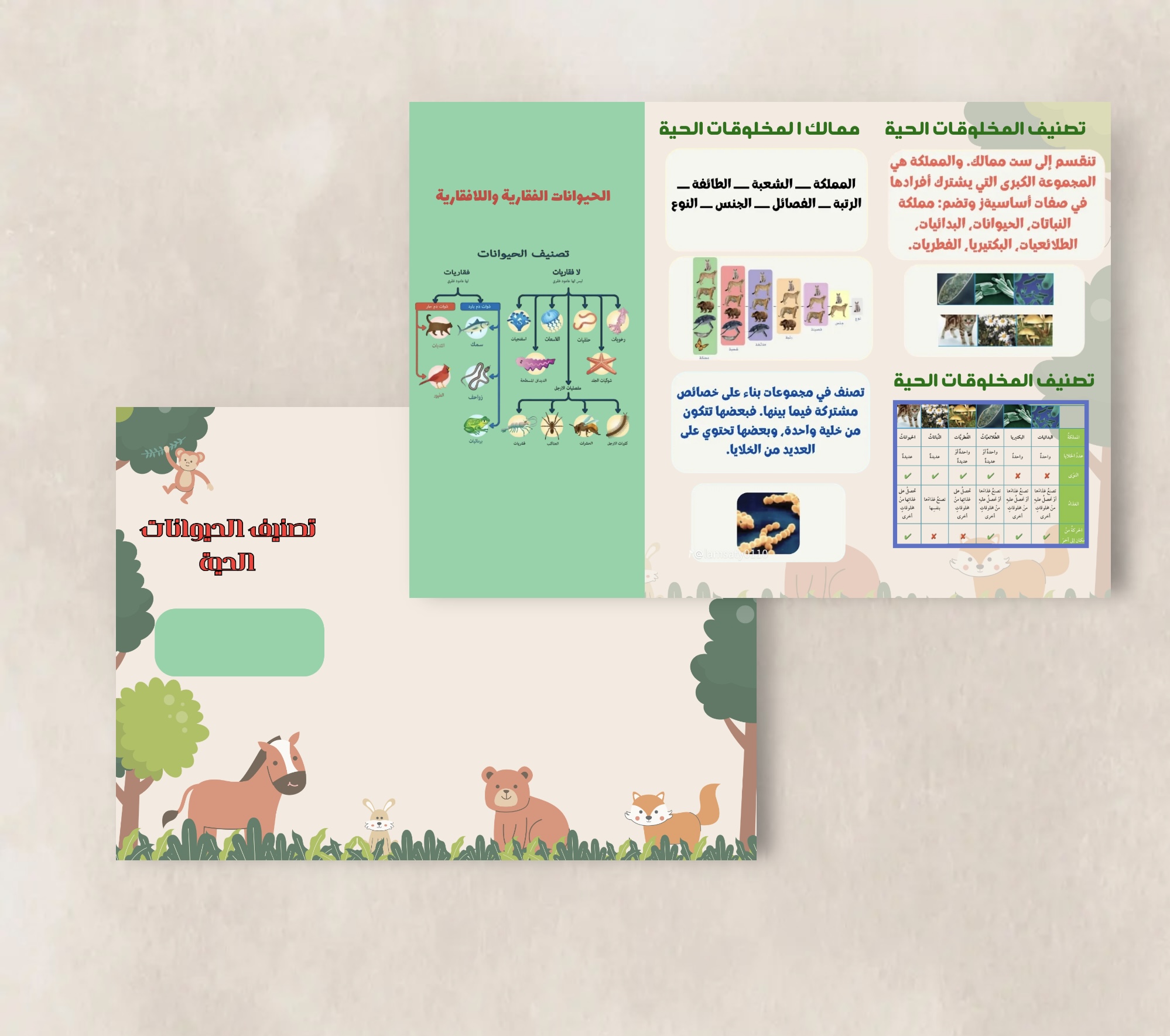 مطوية تصنيف الحيوانات للصف الرابع