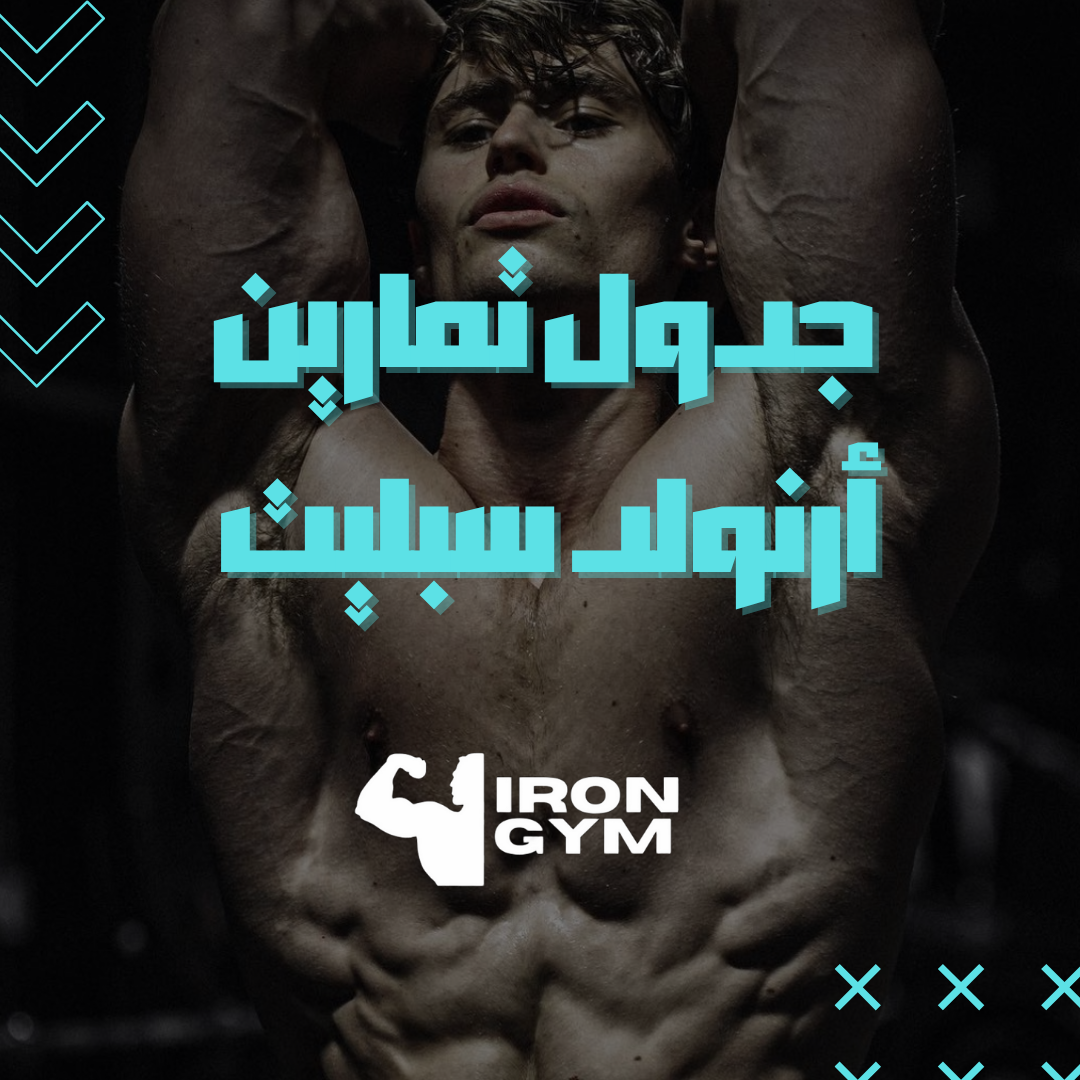 جدول تمارين أرنولد سبليت