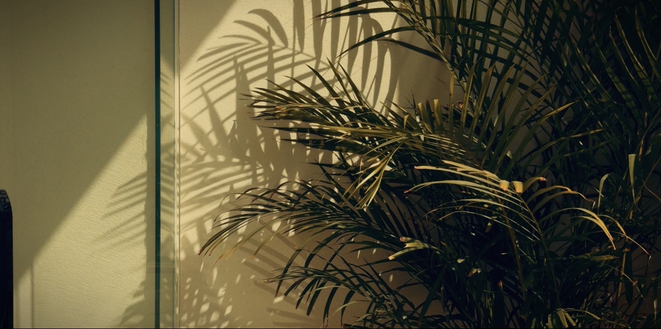 Warm Cine |  فلتر  سينمائي دافـئ