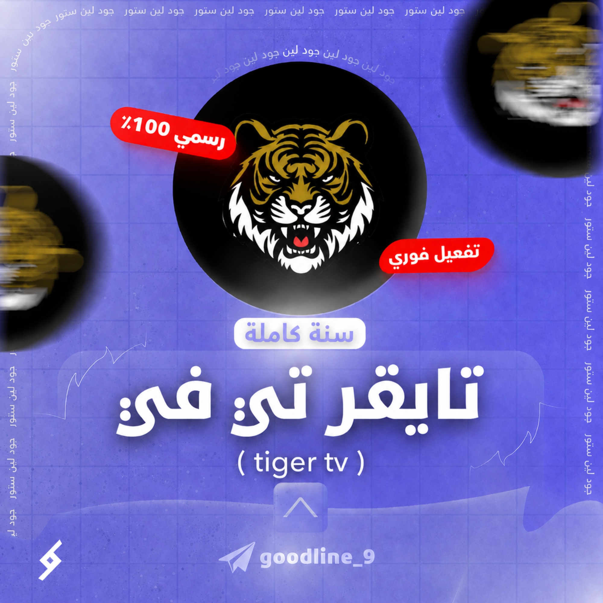 تايجر TV لمدة سنة كاملة