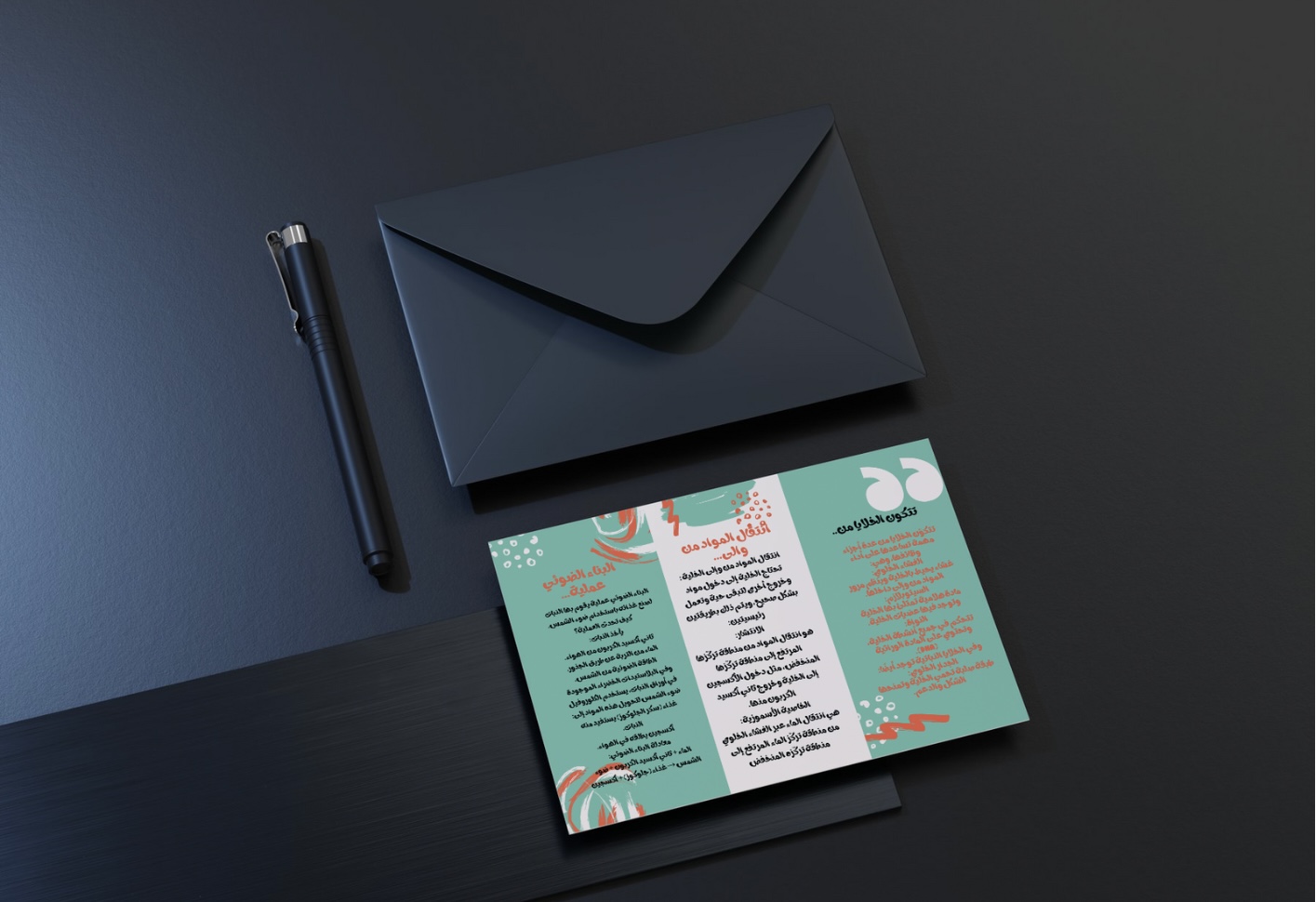 الخلية النباتية والخلية الحيوانية علوم سادس