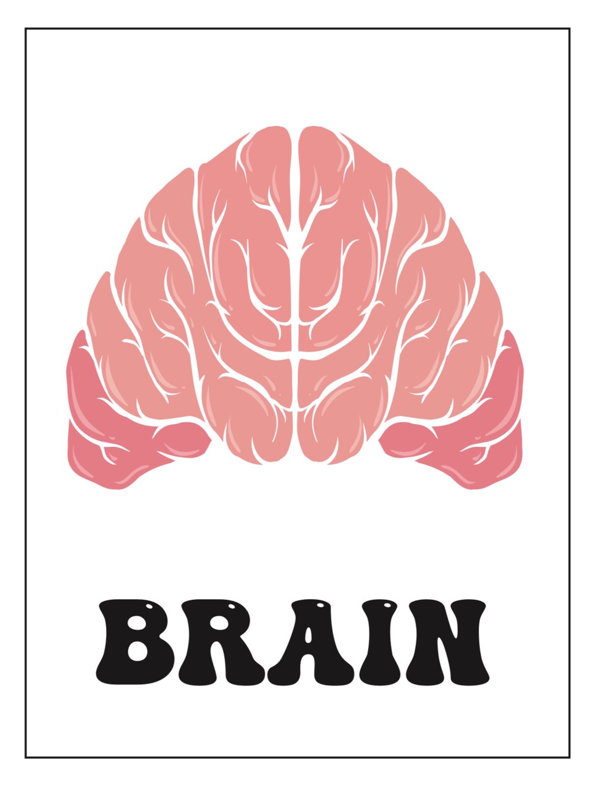 اجهزة الجسم - انجليزي