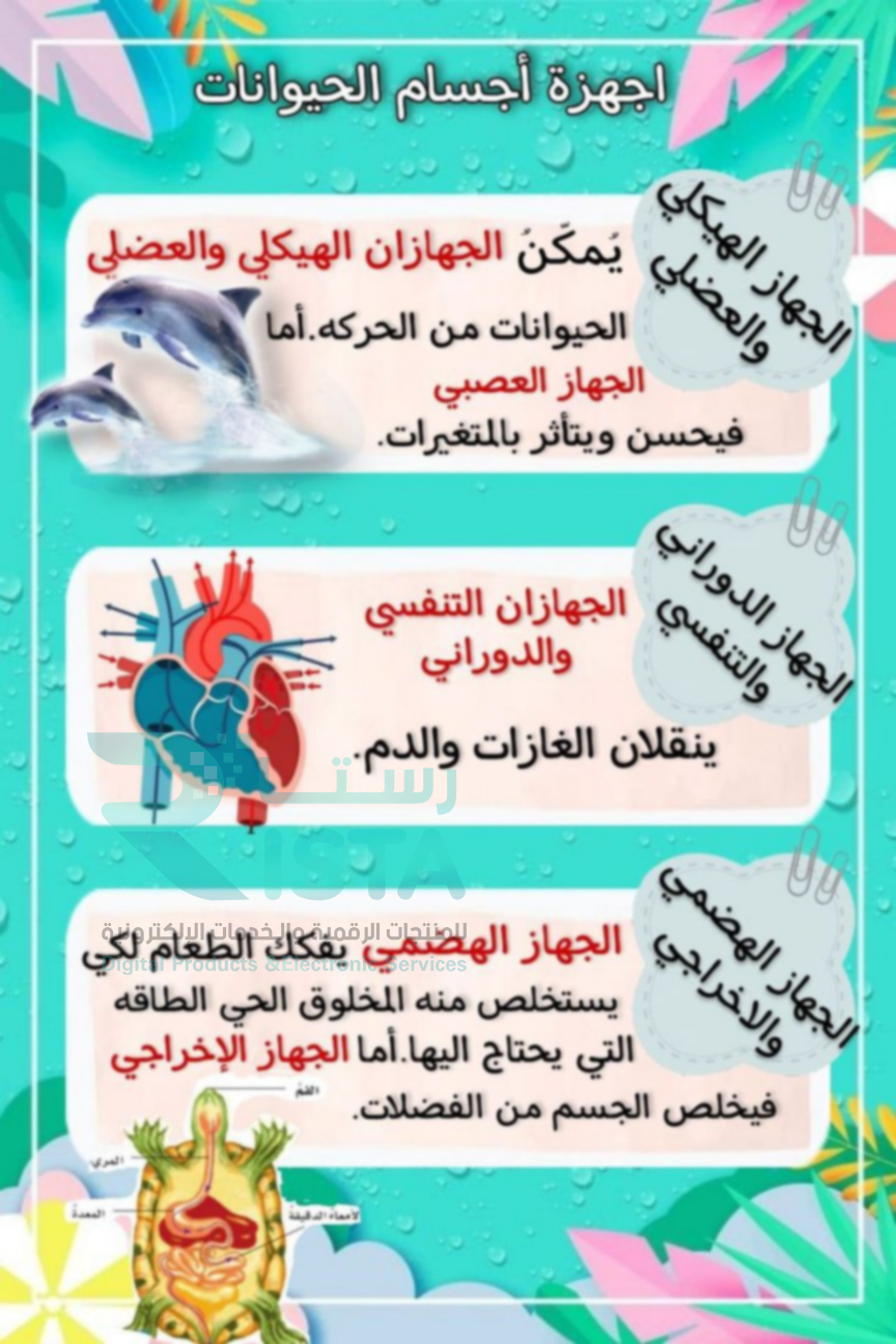 مطوية أجهزة أجسام الحيوانات علوم رابع ابتدائي  الفصل الدراسي الأول