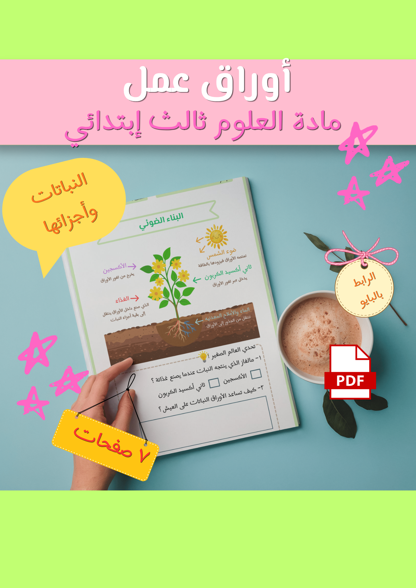 أوراق عمل درس ( النباتات وأجزائها ) علوم ثالث إبتدائي pdf