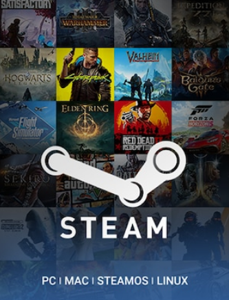 STEAM GIFT CARD  17$