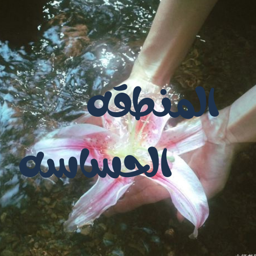 المنطقه الحساسه