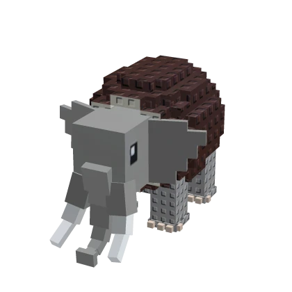 𝐂𝐎𝐂𝐎𝐅𝐀𝐍𝐓𝐎 𝐄𝐋𝐄𝐅𝐀𝐍𝐓𝐎