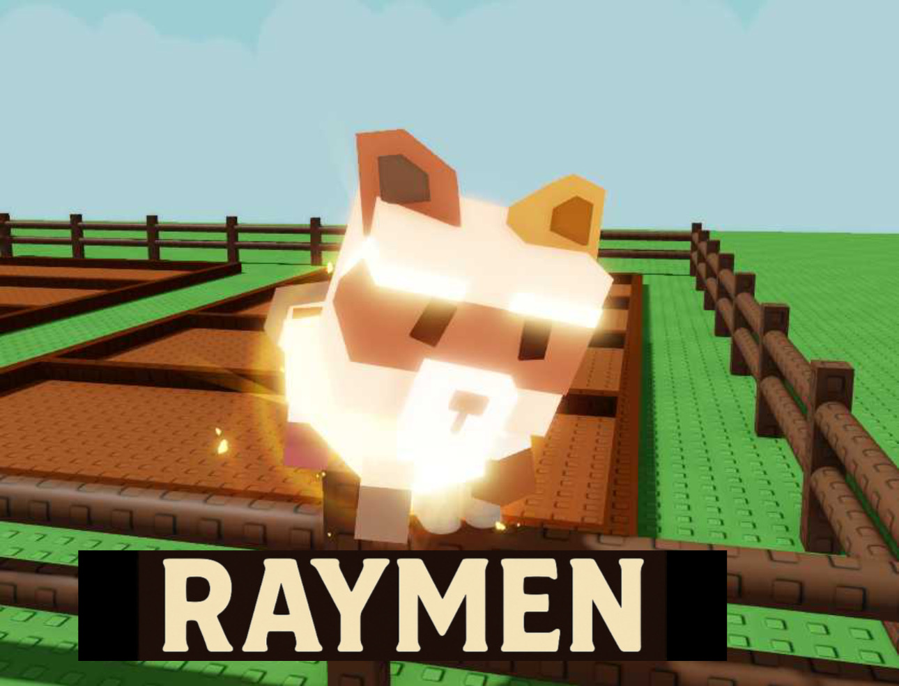 Raccon | راكون 🔥