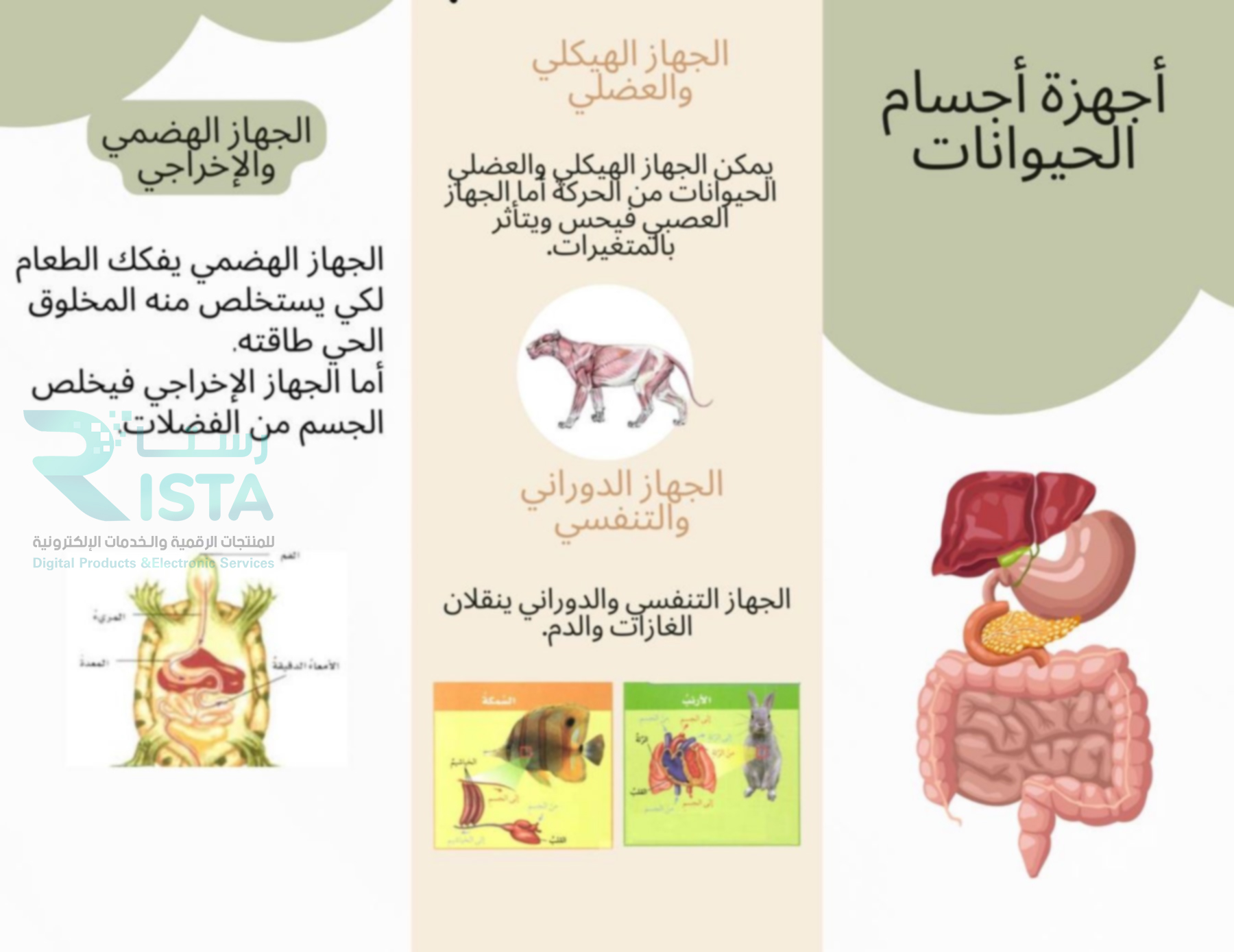 مطوية أجهزة أجسام الحيوانات علوم رابع ابتدائي  الفصل الدراسي الأول