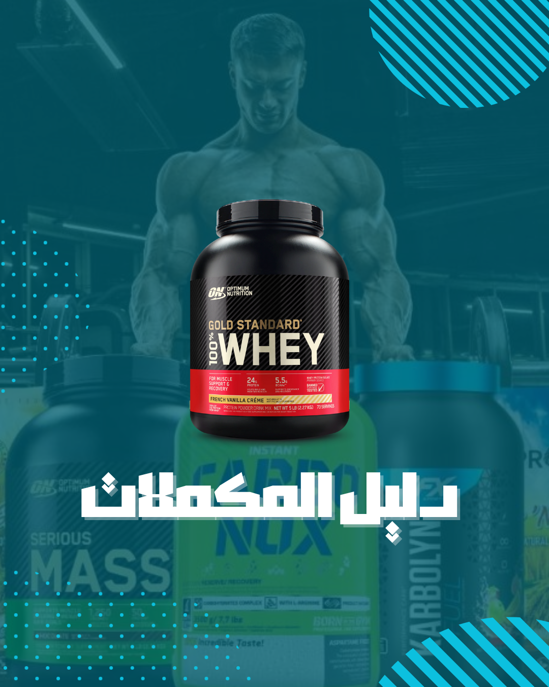 دليل المكملات الغذائية