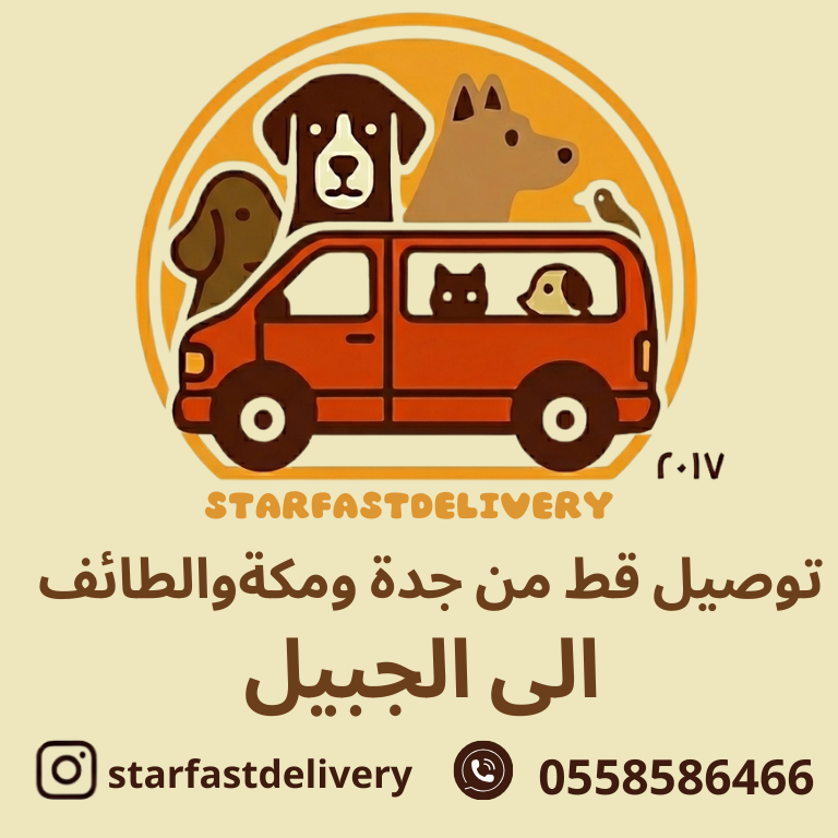 توصيل قط من جدة ومكةوالطائف الى الجبيل
