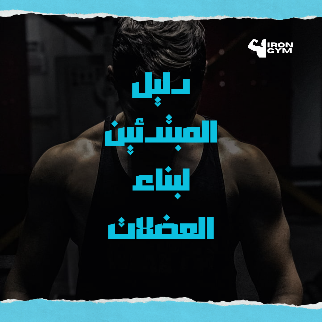 دليل المبتدئين