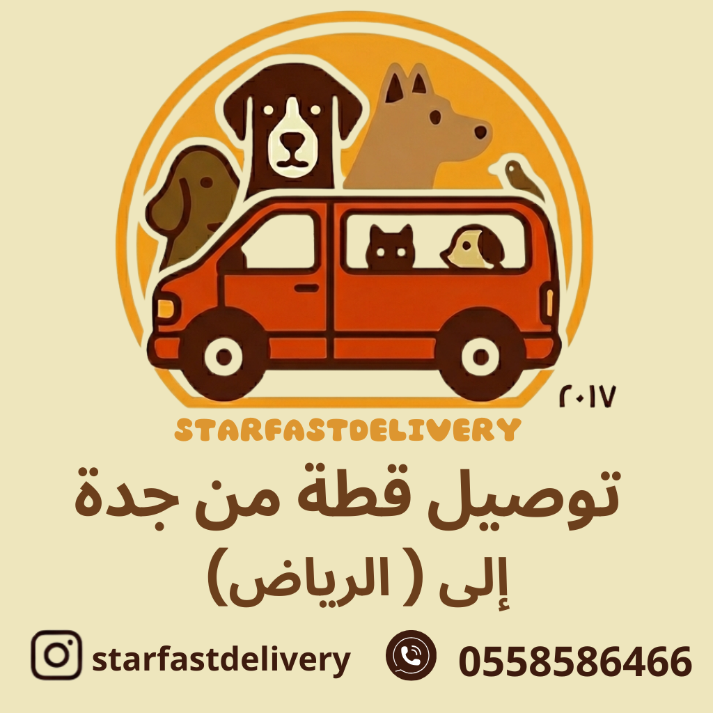 توصيل قطة من جدة للرياض